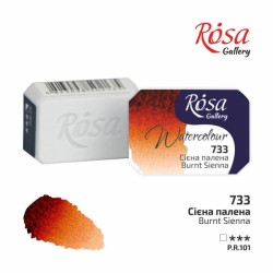 Фарба акварельна "ROSA Gallery" /733/ Сієна палена, 2,5мл